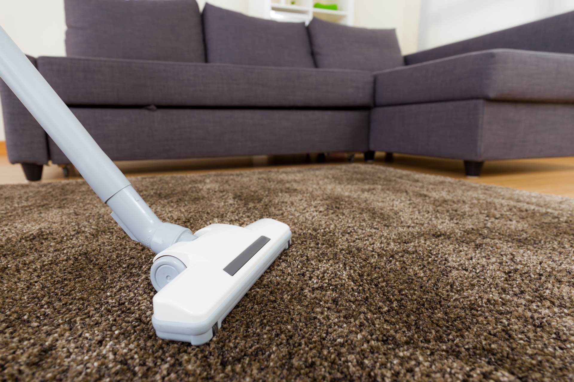 Housekeeping Professional