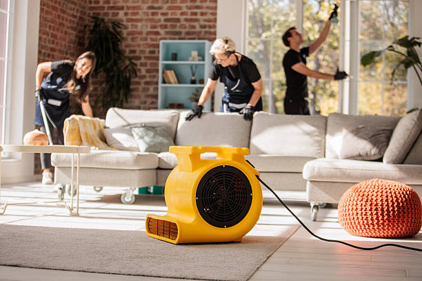 Three people from a professional maid service cleaning a living room with a yellow air conditioner in the background.