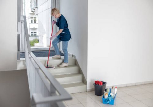 A woman cleaning the stairs in a house, showcasing home cleaning options and maintaining a tidy living space.