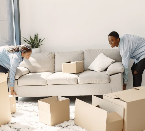 Move-in and move-out cleaning service for apartments and houses